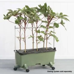 EarthBOX 60 In. H X 22 In. W X 32 In. D Green Plastic Plant Staking System -ORBIT || ACE || TORO Shop a6fd76c2 1cbc 49c2 b5c7 4bfe352f0871