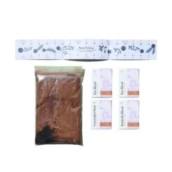 Modern Sprout Wildflower Mix Seed Starter Kit 1 Pk -ORBIT || ACE || TORO Shop a95a35de 65ea 45d6 ad8a 6321120051ee