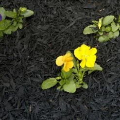 Rubberific Black Shredded Rubber Mulch 0.8 Cu Ft -ORBIT || ACE || TORO Shop a97c3c84 8453 471a 893f 3f7c571b89c7