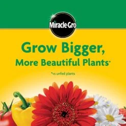 Miracle-Gro Granules All Purpose Plant Food 5.5 Lb -ORBIT || ACE || TORO Shop aeeaad3f 352d 45ae 8374 1f6f9deb067f