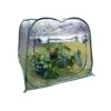 Zenport Green 39.4 In. H X 47.3 In. W Pop-Up Greenhouse -ORBIT || ACE || TORO Shop b07d823e 6af3 4b17 a0a7 40f5e731e4db