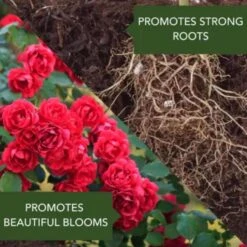 BioAdvanced Rose & Flower Care Granules Plant Food 5 Lb -ORBIT || ACE || TORO Shop b2a89f36 3eee 4669 a604 5615bfe37305