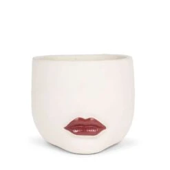 Abbott 7.5 In. D Cement Lip Planter Red/White