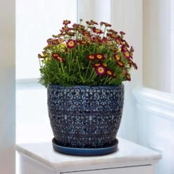 Trendspot Mediterranean 10.16 In. H X 11.9 In. W X 11.9 In. D X 12 In. D Ceramic Planter Blue 7 Trendspot Mediterranean 10.16 In. H X 11.9 In. W X 11.9 In. D X 12 In. D Ceramic Planter Blue -ORBIT || ACE || TORO Shop b7daf458 a274 4044 a65c 34efb5567f9c