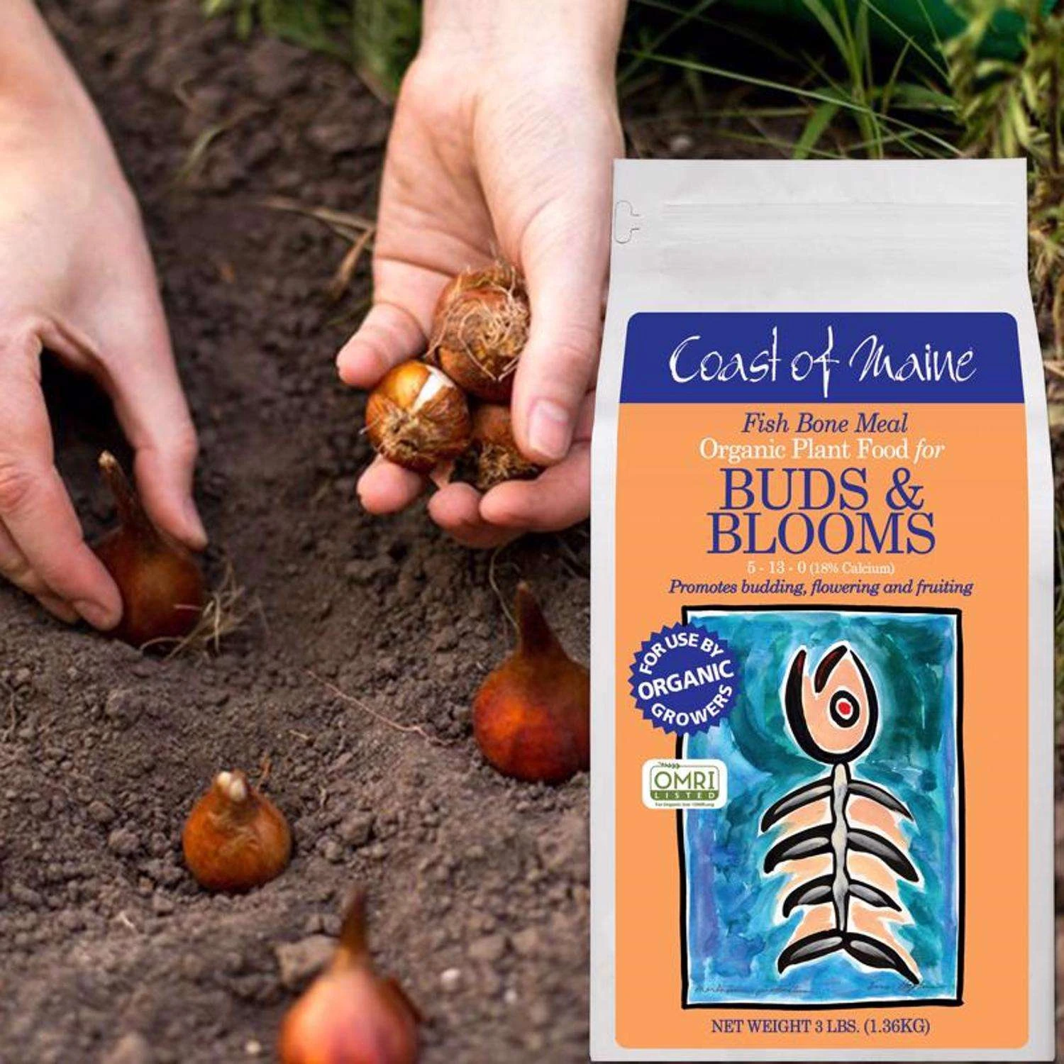 Coast Of Maine Buds & Blooms Organic Granules All Purpose Plant Food 3 Lb 4 Coast Of Maine Buds & Blooms Organic Granules All Purpose Plant Food 3 Lb - Image 2