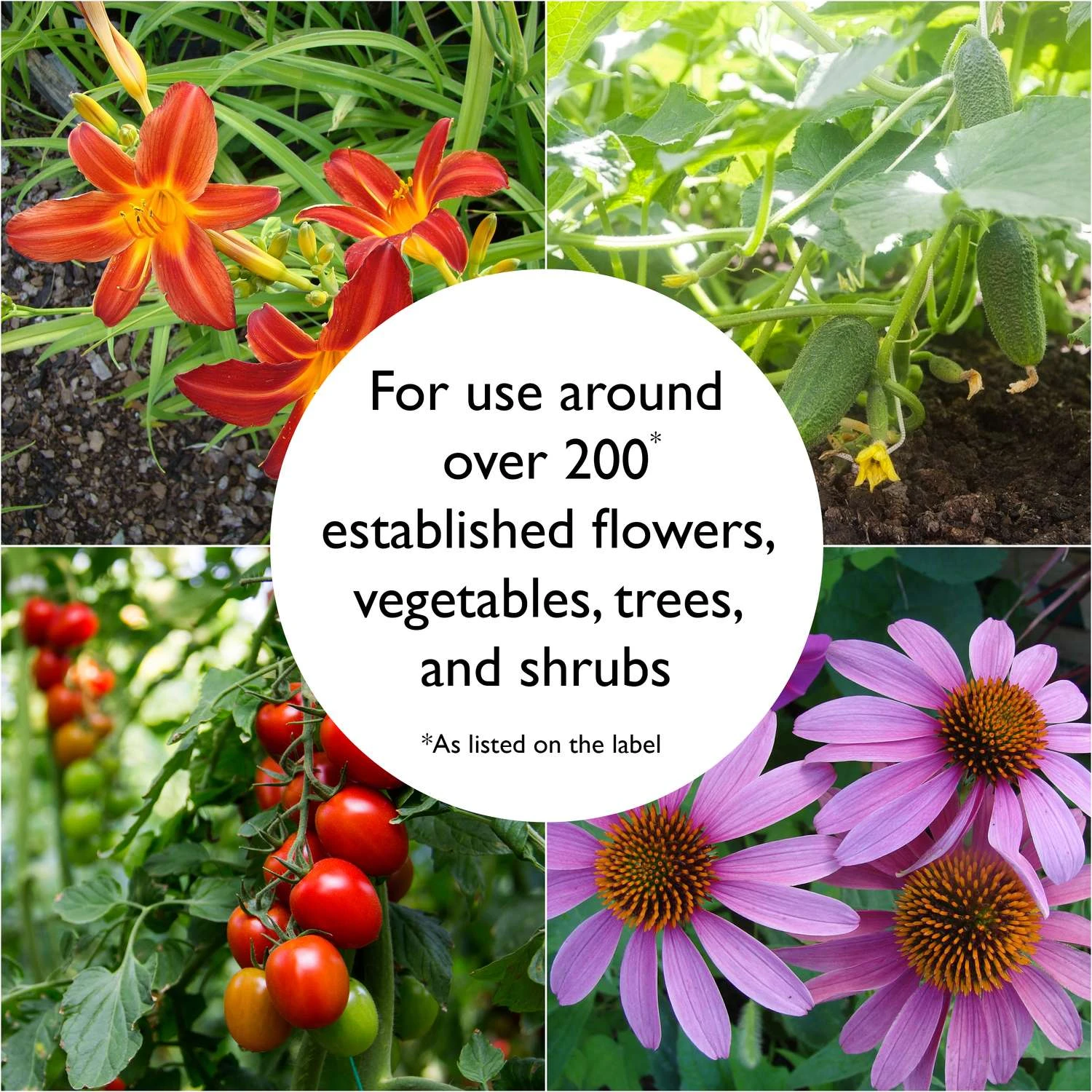 Preen Granules Weed Preventer & Fertilizer 16 Lb 8 Preen Granules Weed Preventer & Fertilizer 16 Lb - Image 6