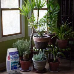 Coast Of Maine Stonington Blend Organic Granules All Purpose Plant Food 4 Lb 9 Coast Of Maine Stonington Blend Organic Granules All Purpose Plant Food 4 Lb -ORBIT || ACE || TORO Shop bc10eb05 488b 4b19 8d8d 0066b15141b1