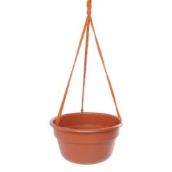 Bloem 6.8 In. H X 12.4 In. D Resin Dura Cotta Hanging Basket Terracotta Clay