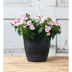 Novelty ArtStone 9.8 In. H X 10.5 In. W X 10.5 In. D X 10.5 In. D Resin Dolce Planter Black -ORBIT || ACE || TORO Shop bec71143 ab95 4f44 90e7 6c2c505e7386