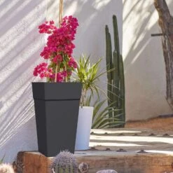 Bloem Finley 25 In. H X 14.65 In. W X 14.65 In. D Resin Tall Tapered Planter Black -ORBIT || ACE || TORO Shop bedfd030 d674 4ab9 8645 83f1e05dd2c3