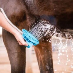 Aquapaw Grooming Brush For Horse -ORBIT || ACE || TORO Shop bf0312a3 c42d 409c 8147 cfbcb05e71ab