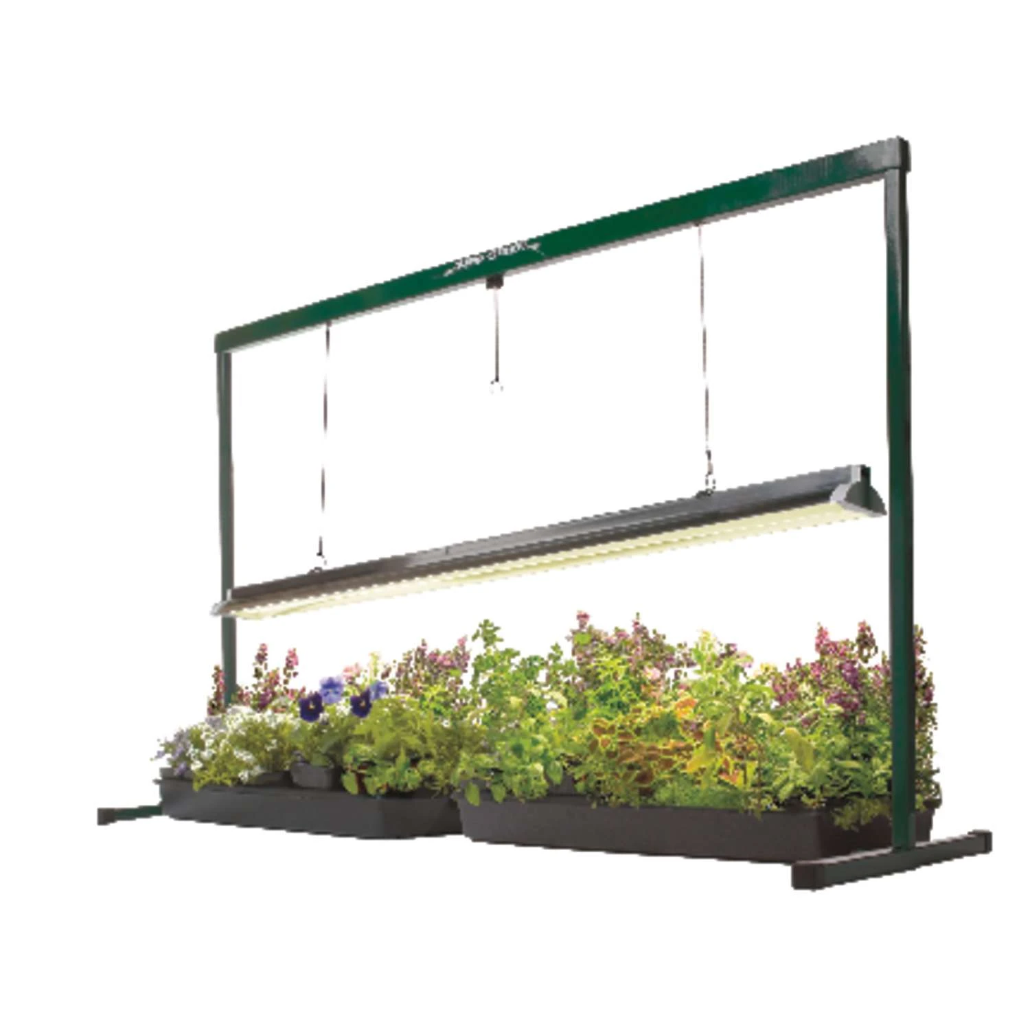 Hydrofarm Hydroponic Grow Light 54 W 3 Hydrofarm Hydroponic Grow Light 54 W