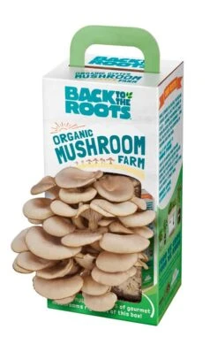 Back To The Roots Mushroom Grow Kit 1 Pk