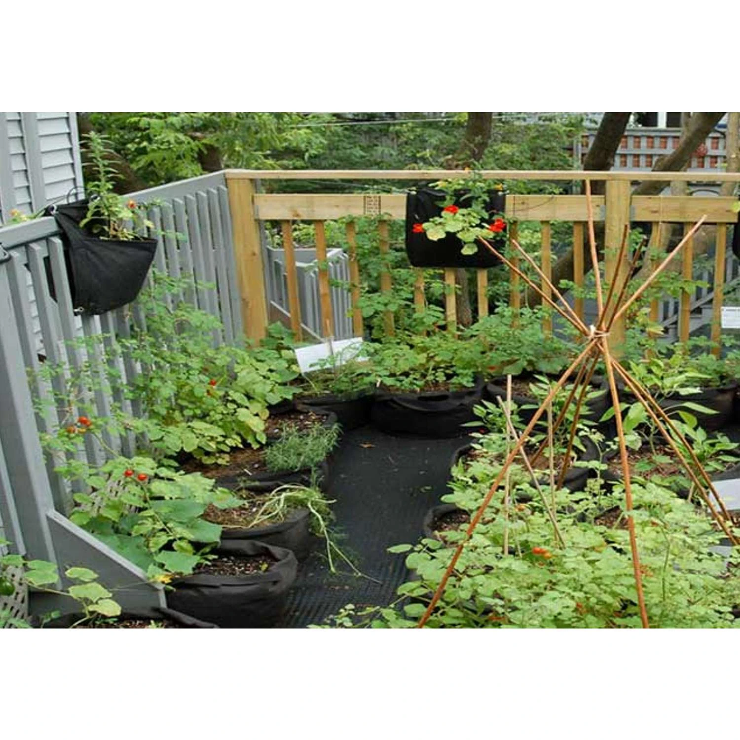 Smart Pot WallFlowers 18 In. H X 16 In. W Geo-Thermal Fabric Saddle Grow Bag Planter Black 4 Smart Pot WallFlowers 18 In. H X 16 In. W Geo-Thermal Fabric Saddle Grow Bag Planter Black - Image 2