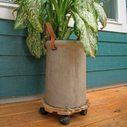 Avera Products 3.25 In. H X 12 In. W X 12 In. D Wood Traditional Plant Caddy Natural 7 Avera Products 3.25 In. H X 12 In. W X 12 In. D Wood Traditional Plant Caddy Natural -ORBIT || ACE || TORO Shop c5982c3f 6db5 44d4 827f af9ecf85de4c