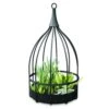 Panacea 9.75 D Metal Bird Cage Succulent Planter Black 2 Panacea 9.75 D Metal Bird Cage Succulent Planter Black -ORBIT || ACE || TORO Shop c91682ae 7e5e 4177 91b8 efc6eb06c020