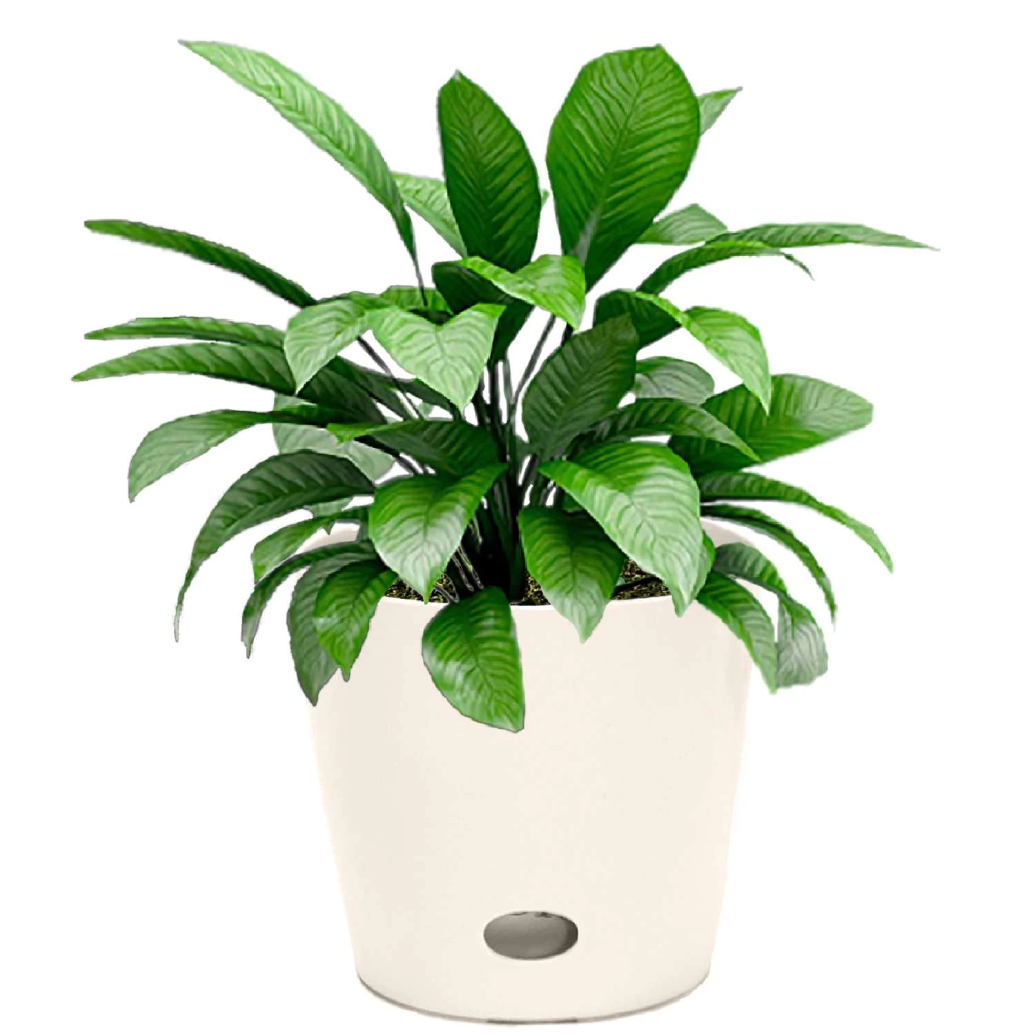 Bamboo-Blooms Waterwell Self Watering 6.5 In. H X 7 In. W X 7 In. D Wood-Resin Contemporary Round Pl 6 Bamboo-Blooms Waterwell Self Watering 6.5 In. H X 7 In. W X 7 In. D Wood-Resin Contemporary Round Pl - Image 4