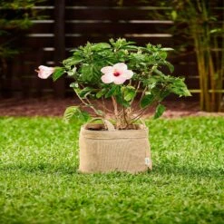 Coolaroo 11 In. H X 12 In. W X 12 In. D X 12 In. D Polyethylene Round Planter Bag Desert Sand