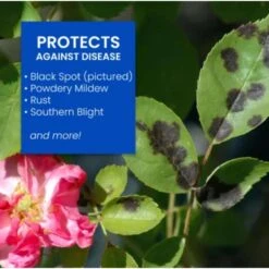 BioAdvanced All-in-One Rose And Flower Care Liquid Concentrate Plant Food 32 Oz -ORBIT || ACE || TORO Shop cedb2aa6 8b62 4204 b4d8 e2c7b5957469