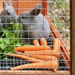 IronRidge 24 In. H X 25 Ft. L Galvanized Steel Welded Wire Fence 1 In. 18 IronRidge 24 In. H X 25 Ft. L Galvanized Steel Welded Wire Fence 1 In. -ORBIT || ACE || TORO Shop d1f6a659 625c 4250 95ae 734dfa7b2a24