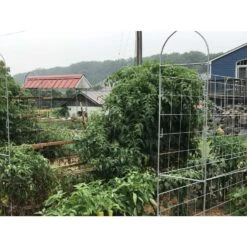 Trellis King 30 In. H Gray Steel Trellis -ORBIT || ACE || TORO Shop d367a7d9 b7d2 48ed 94e8 1f444942d1b1