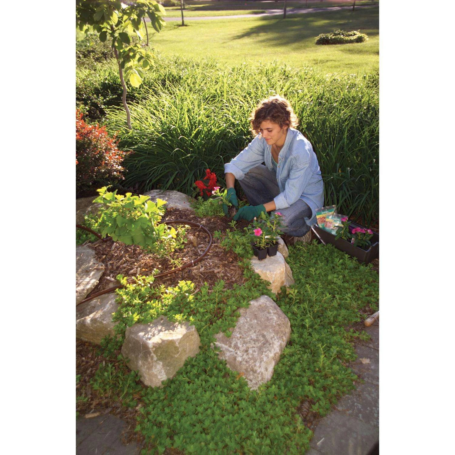 Rain Bird For .866 In. Tubing Drip Tubing Cutter And Punch Tool 8.4 In. H 1 Pk 5 Rain Bird For .866 In. Tubing Drip Tubing Cutter And Punch Tool 8.4 In. H 1 Pk - Image 3