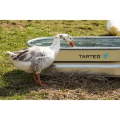 Tarter 40 Gal Stock Tank For Livestock -ORBIT || ACE || TORO Shop da4c931a b415 4781 8c25 ff58e296f5c6