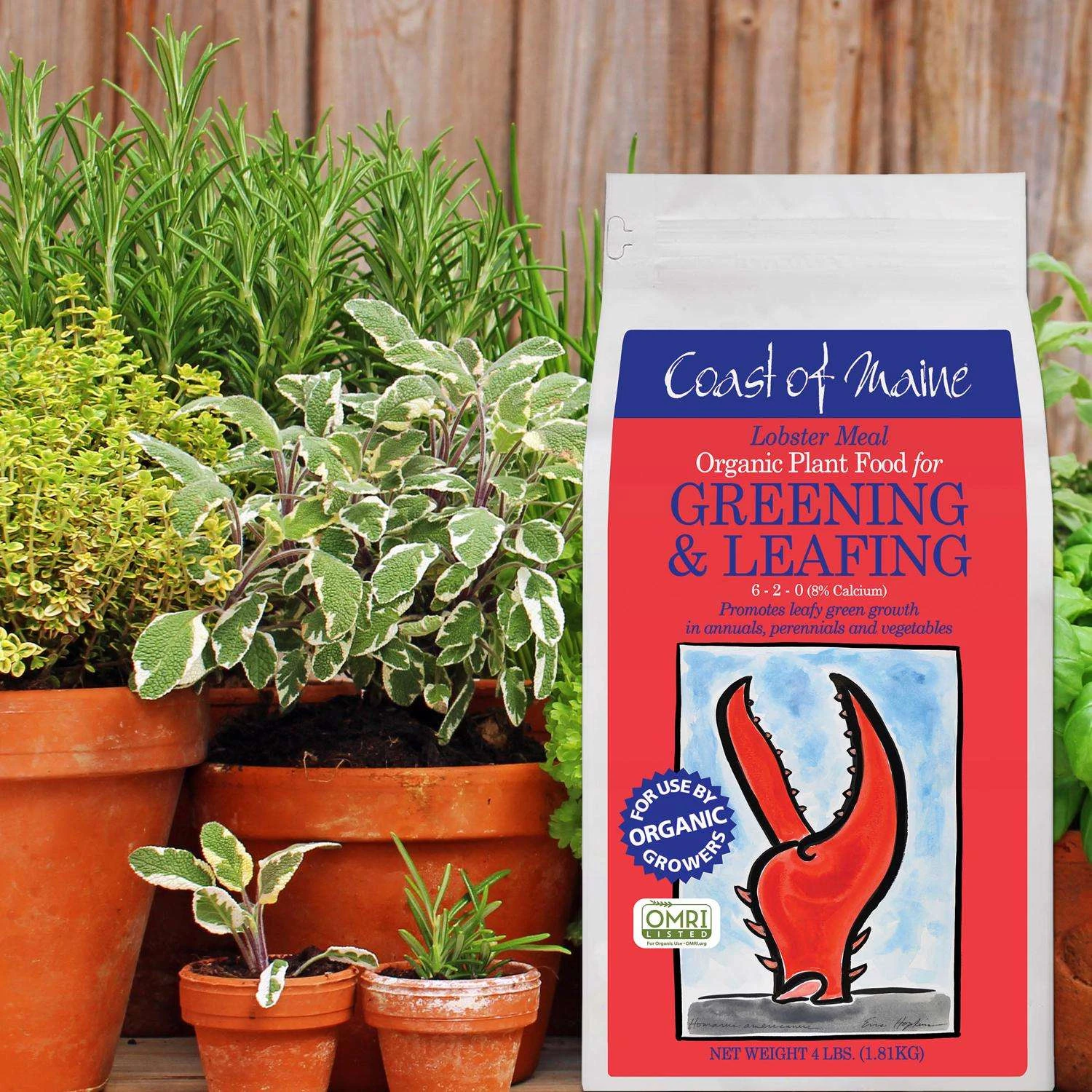 Coast Of Maine Greening & Leafing Organic Granules All Purpose Plant Food 4 Lb 4 Coast Of Maine Greening & Leafing Organic Granules All Purpose Plant Food 4 Lb - Image 2