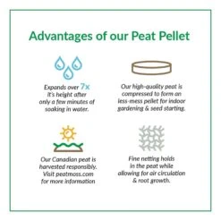 Jiffy 50 Cells 11 In. W X 22 In. L Seed Starting Kit 1 Pk 10 Jiffy 50 Cells 11 In. W X 22 In. L Seed Starting Kit 1 Pk -ORBIT || ACE || TORO Shop da9ed0e6 77f9 4183 b686 53cb4ea019c9