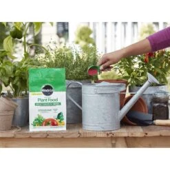 Miracle-Gro Granules Plant Food 2 Lb -ORBIT || ACE || TORO Shop dae591ad 22a9 43d8 aeb3 7ce75f5bf54d