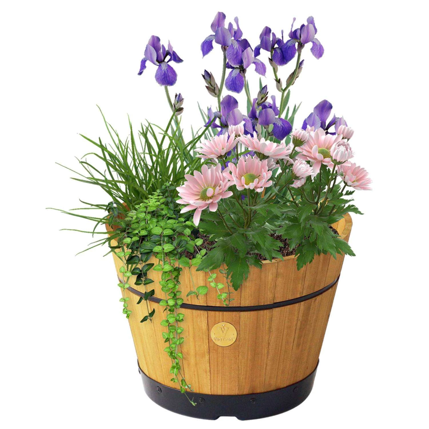 VegTrug Cedar Barrel Natural 4 VegTrug Cedar Barrel Natural - Image 2