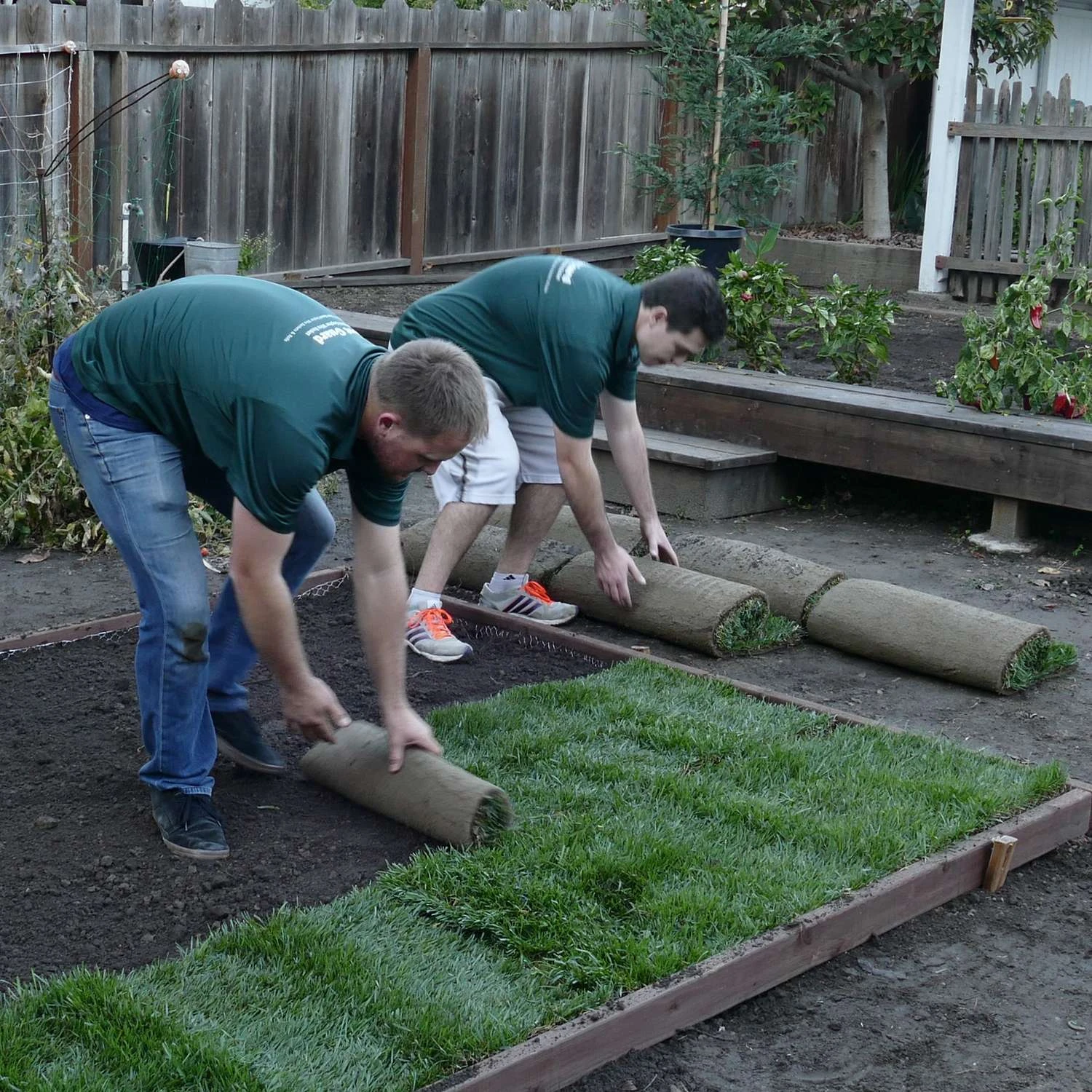 Digger's Root Guard 4 Ft. H X 25 Ft. D Silver Coated Wire Gopher Wire Roll 7 Digger's Root Guard 4 Ft. H X 25 Ft. D Silver Coated Wire Gopher Wire Roll - Image 5