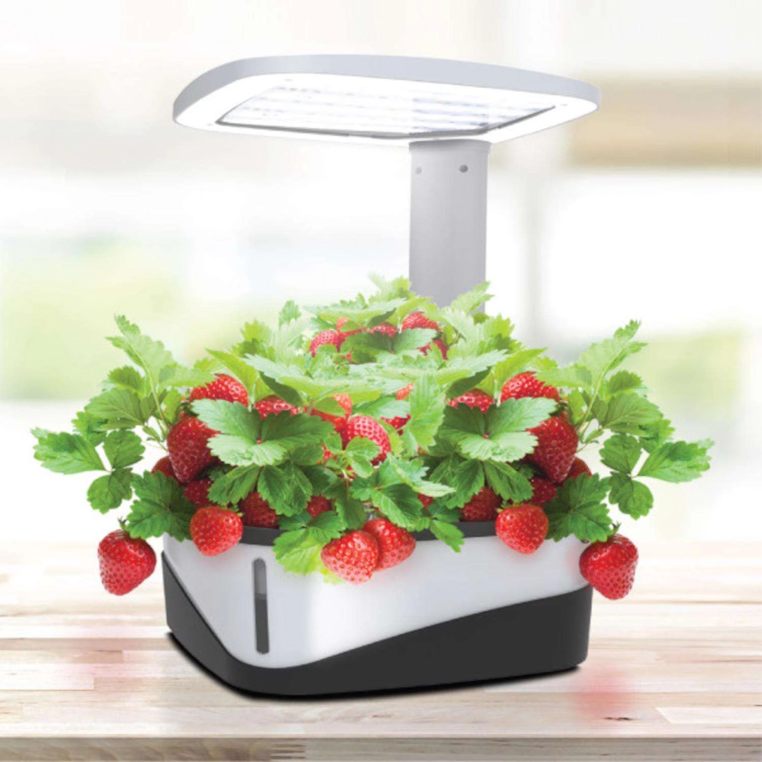 Feit Grow Fixtures Hydroponic Grow Light 37 W 5 Feit Grow Fixtures Hydroponic Grow Light 37 W - Image 3