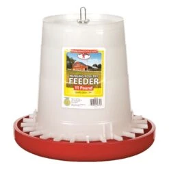 Little Giant 176 Oz Feeder For Poultry