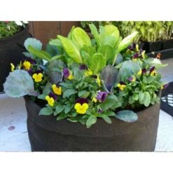 Smart Pot 15.5 In. H X 20 In. W X 20 In. D X 20 In. D Geo-Thermal Fabric Grow Bag Planter Black -ORBIT || ACE || TORO Shop ddcb5207 5dea 45a0 8804 68fb4ddeec04