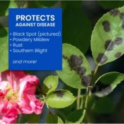 BioAdvanced All-in-One Roses And Flowers 9-14-9 Rose & Flower Fertilizer/Insecticide/Disease Control 10 BioAdvanced All-in-One Roses And Flowers 9-14-9 Rose & Flower Fertilizer/Insecticide/Disease Control -ORBIT || ACE || TORO Shop df4fadb7 f469 4c06 b8ce 922a5a5a2937