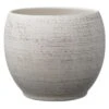 SK Pottery 5.1 In. H X 5.9 In. D Clay Alberta Ceramic Pot Gray