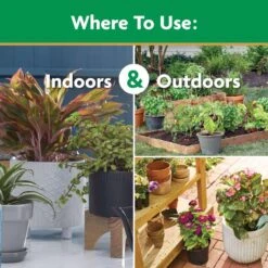 Miracle-Gro Granules All Purpose Plant Food 5.5 Lb -ORBIT || ACE || TORO Shop e3b7afac e78d 4665 a6d0 d40ca2441318