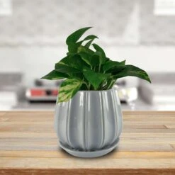 Trendspot Contour 7.28 In. H X 8 In. W X 8 In. D X 8 In. D Ceramic Planter Gray 7 Trendspot Contour 7.28 In. H X 8 In. W X 8 In. D X 8 In. D Ceramic Planter Gray -ORBIT || ACE || TORO Shop e5eab6f0 5322 404f 8ae1 c15a16ca4468