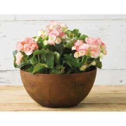 Novelty ArtStone 4.8 In. H X 9.9 In. W X 9.9 In. D X 9.9 In. D Resin Napa Bowl Planter Rust -ORBIT || ACE || TORO Shop e638b57f 4414 41a3 bf3f 34a587883b0f