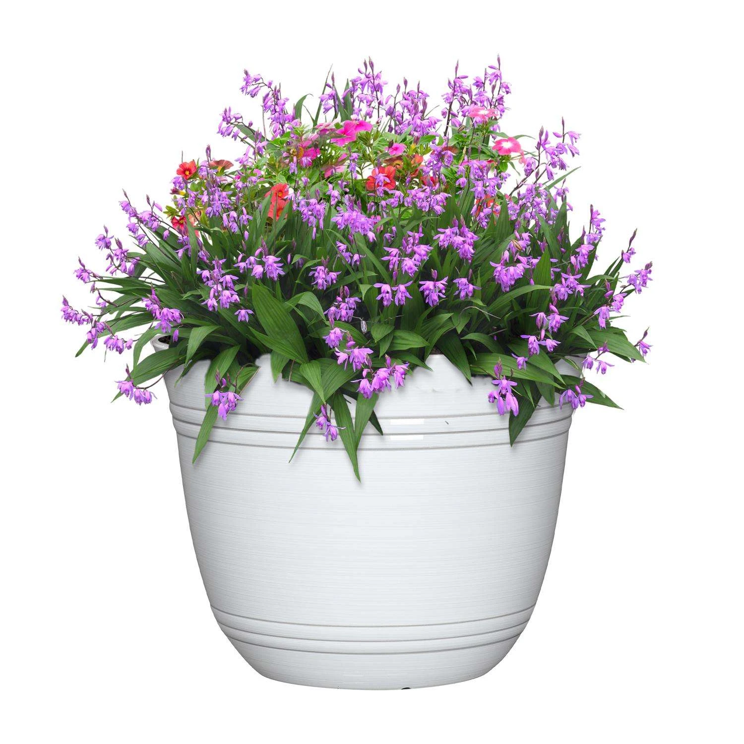 L&G Solutions 11 In. H X 14.5 In. D Polyresin Galileo Planter White 4 L&G Solutions 11 In. H X 14.5 In. D Polyresin Galileo Planter White - Image 2