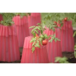 Bosmere 18 In. L X 15 In. W 2 Pk Plant Protector