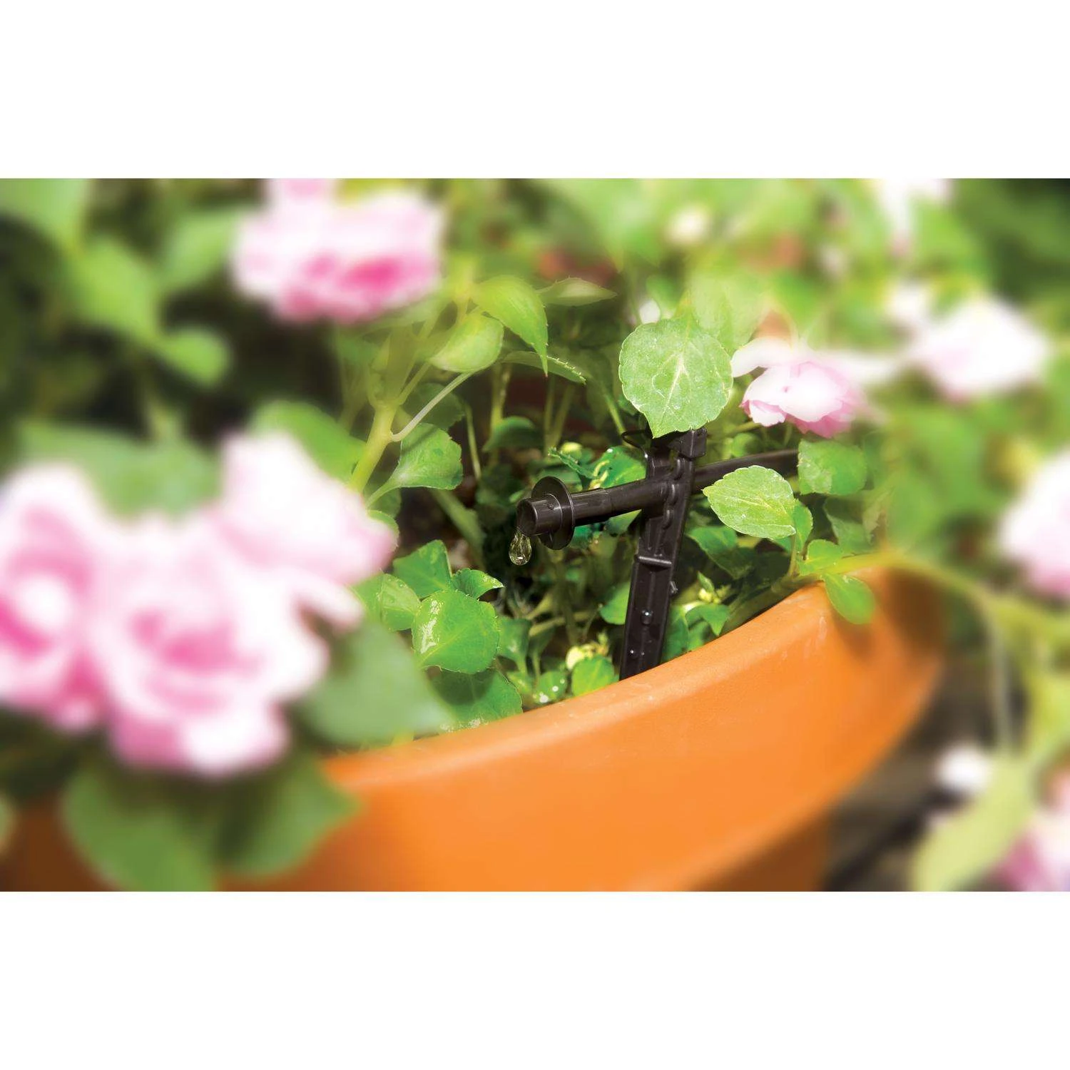 Rain Bird Drip Irrigation Plant Watering Kit 4 Rain Bird Drip Irrigation Plant Watering Kit - Image 2