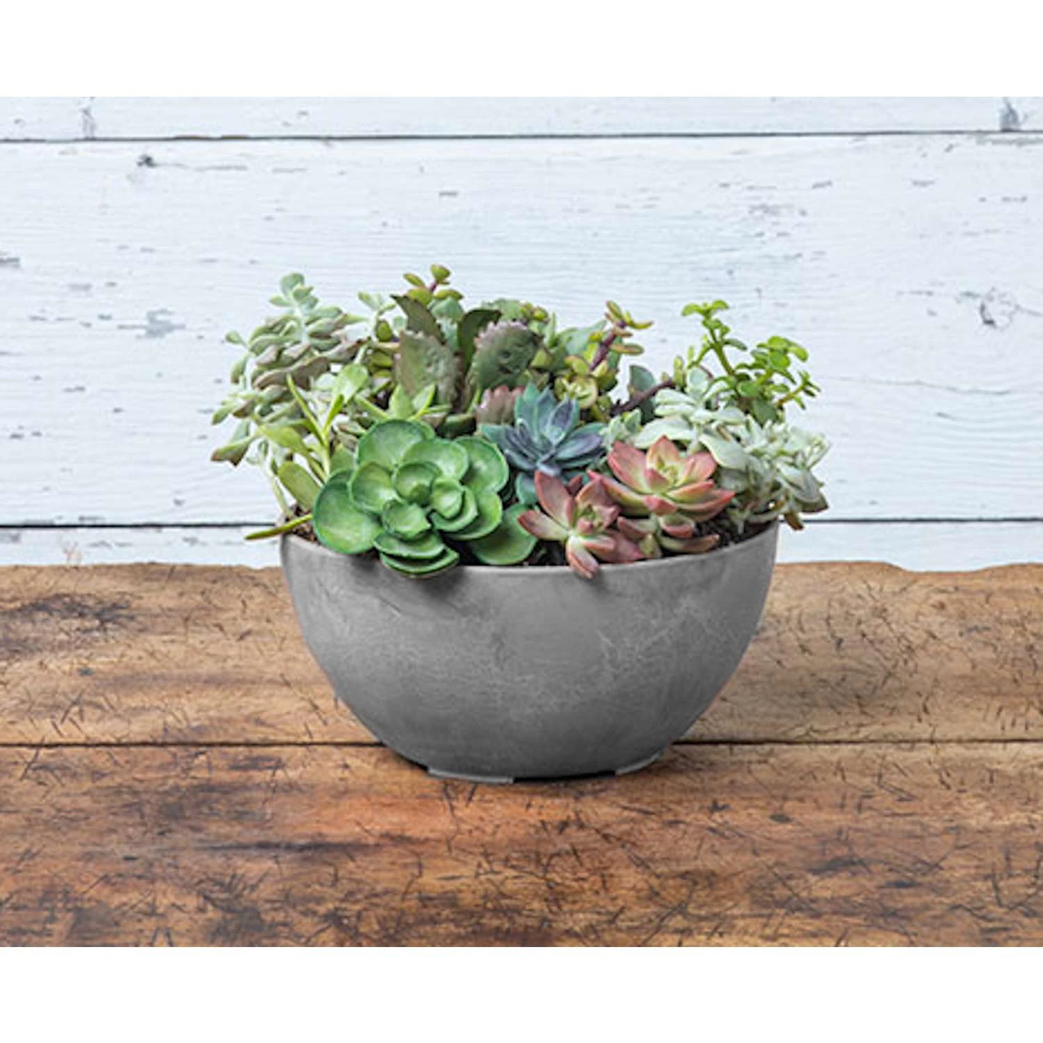 Novelty ArtStone 4.8 In. H X 9.9 In. W X 9.9 In. D X 9.9 In. D Resin Napa Bowl Planter Gray 4 Novelty ArtStone 4.8 In. H X 9.9 In. W X 9.9 In. D X 9.9 In. D Resin Napa Bowl Planter Gray - Image 2
