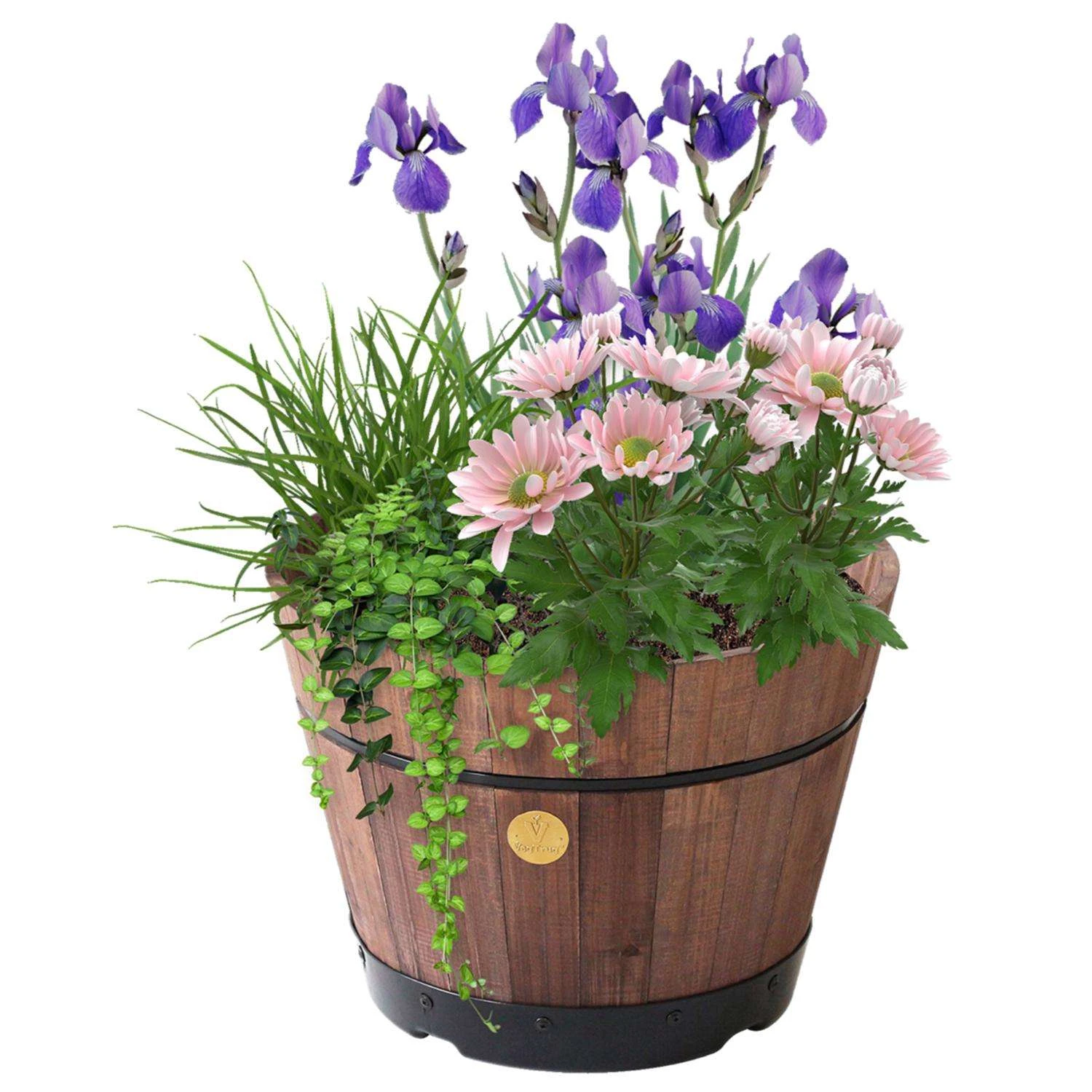 VegTrug 13.38 In. H X 18 In. D Cedar Barrel Brown 4 VegTrug 13.38 In. H X 18 In. D Cedar Barrel Brown - Image 2