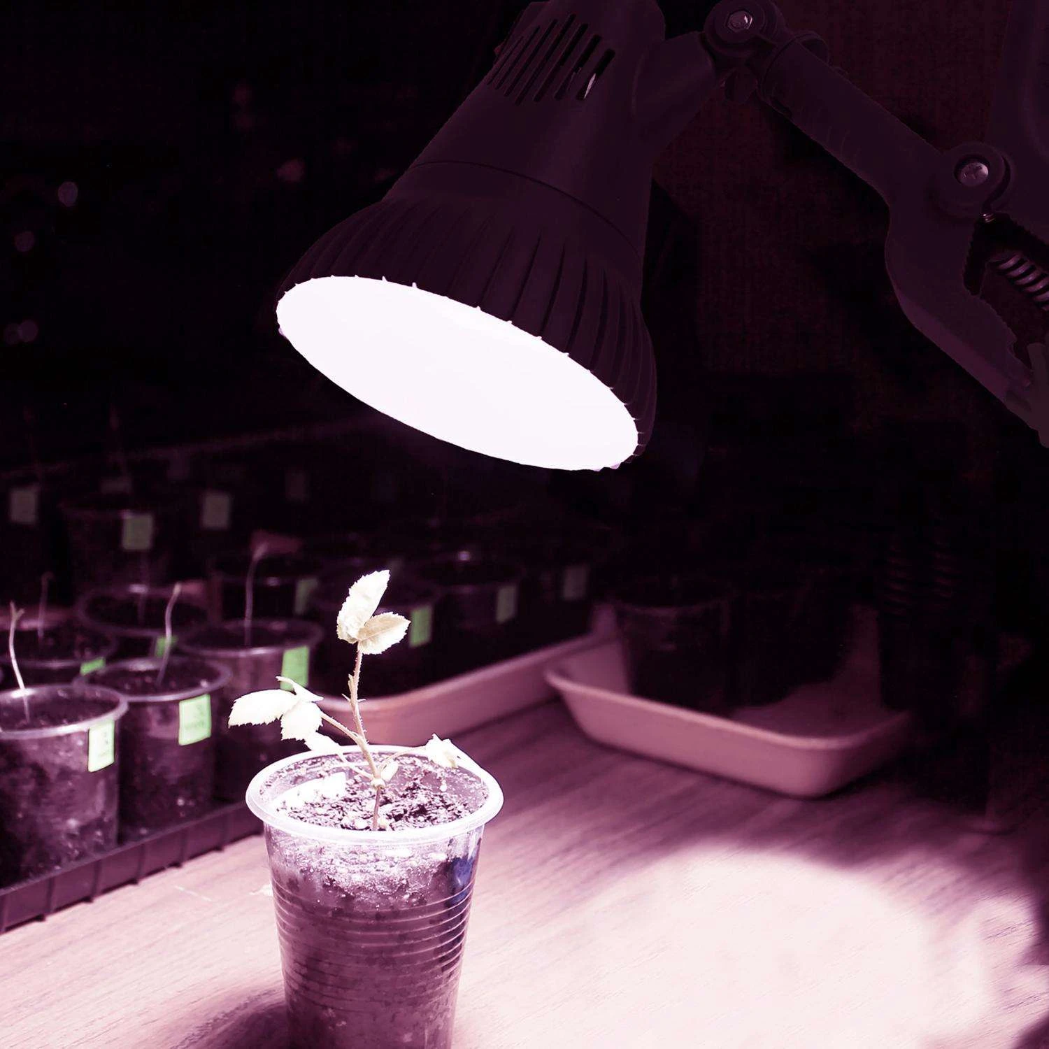 Stonepoint Hydroponic Grow Light 13 W LED 7 Stonepoint Hydroponic Grow Light 13 W LED - Image 5