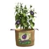 Panacea 14-1/2 In. H Burlap Eggplant Planter Brown -ORBIT || ACE || TORO Shop f9789ec0 be85 46d6 999d 37e0fc820c01