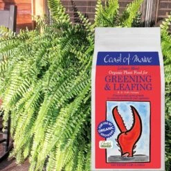 Coast Of Maine Greening & Leafing Organic Granules All Purpose Plant Food 4 Lb 10 Coast Of Maine Greening & Leafing Organic Granules All Purpose Plant Food 4 Lb -ORBIT || ACE || TORO Shop f9d794c7 9499 4c51 abca 8b44be23252c