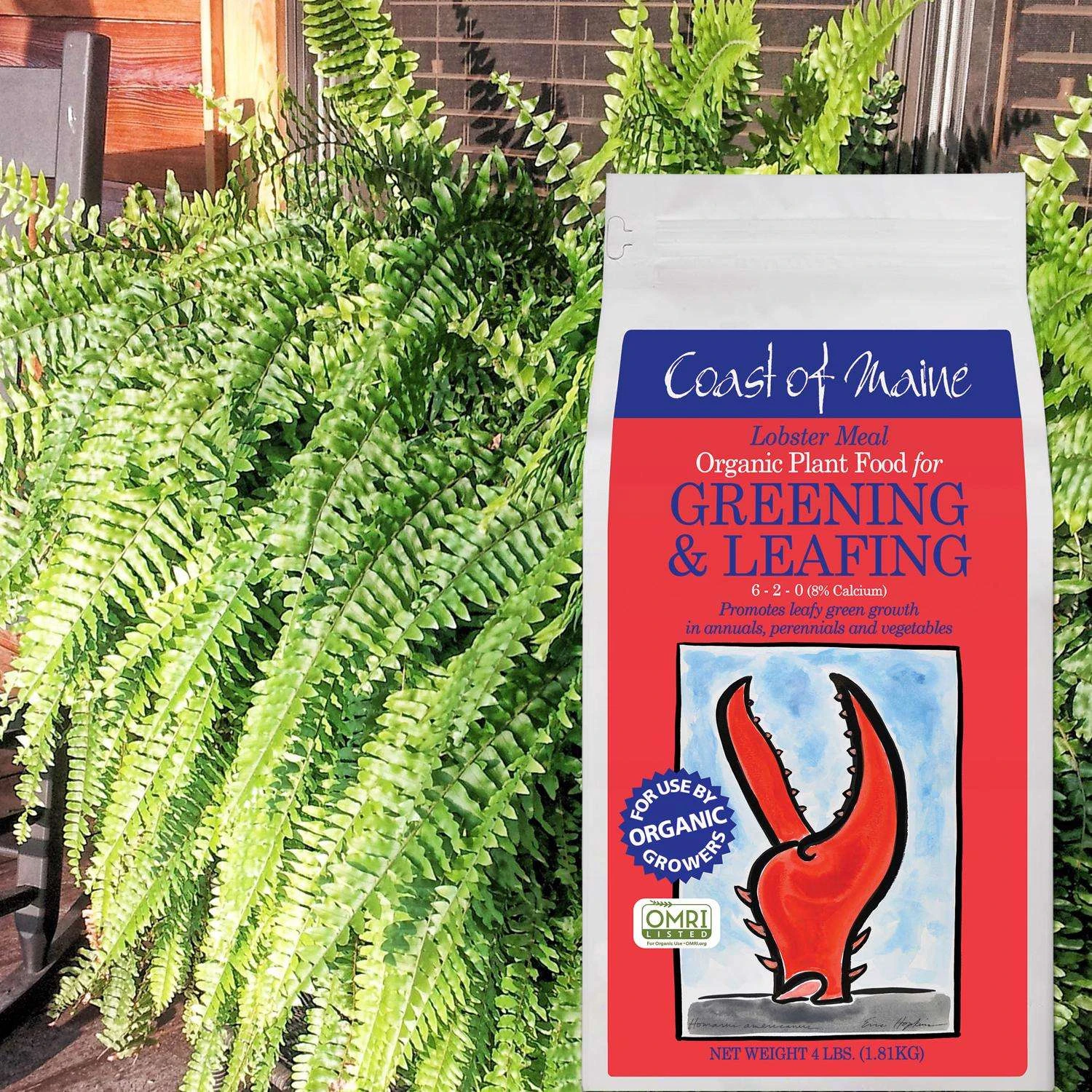 Coast Of Maine Greening & Leafing Organic Granules All Purpose Plant Food 4 Lb 6 Coast Of Maine Greening & Leafing Organic Granules All Purpose Plant Food 4 Lb - Image 4